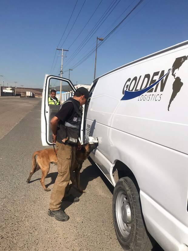 Binomio K9 revisando una unidad de Golden Logistics